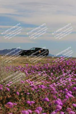 media/Jan-08-2023-SCCA SD (Sun) [[8f6a5b9391]]/Intermediate Group/Session 2 (Short Straight)/